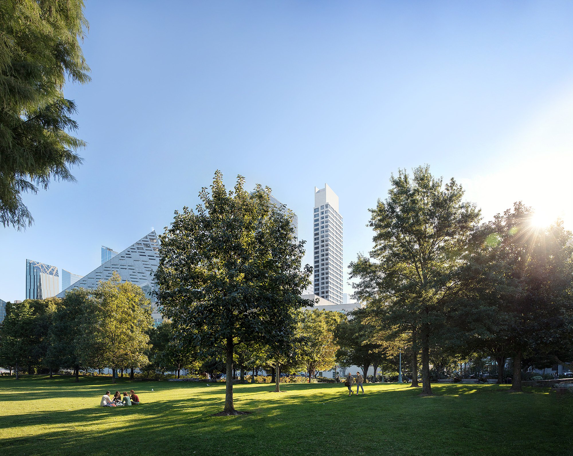 Central Park Neighborhood