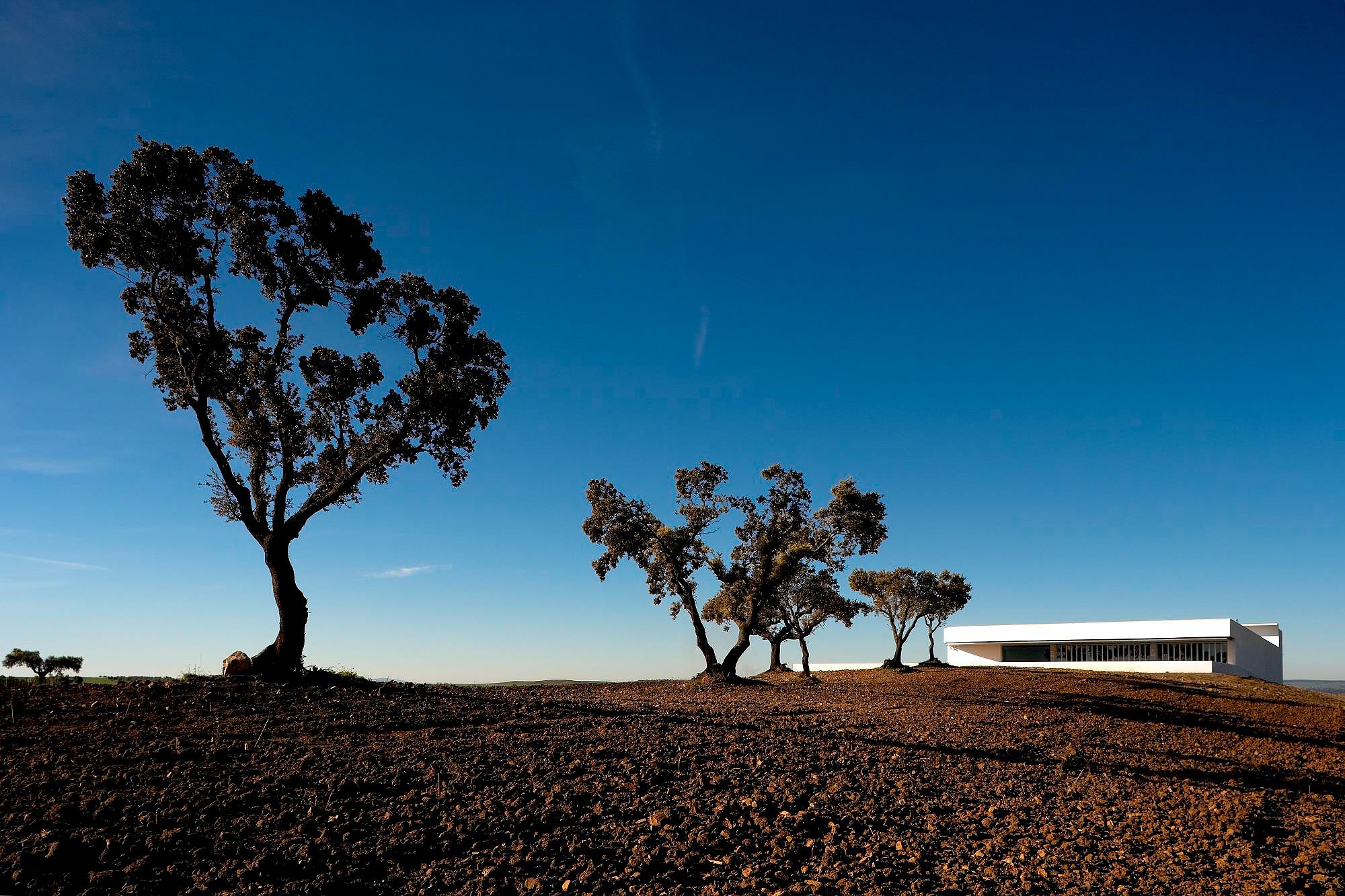 Adega Mayor Winery, Campo Maior, Portugal